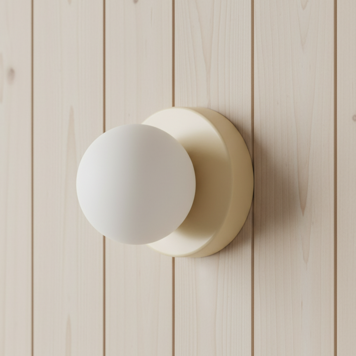 Wall & Ceiling Light Frosted Glass Globe Painted Iron