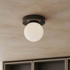 Wall & Ceiling Light Frosted Glass Globe Painted Iron