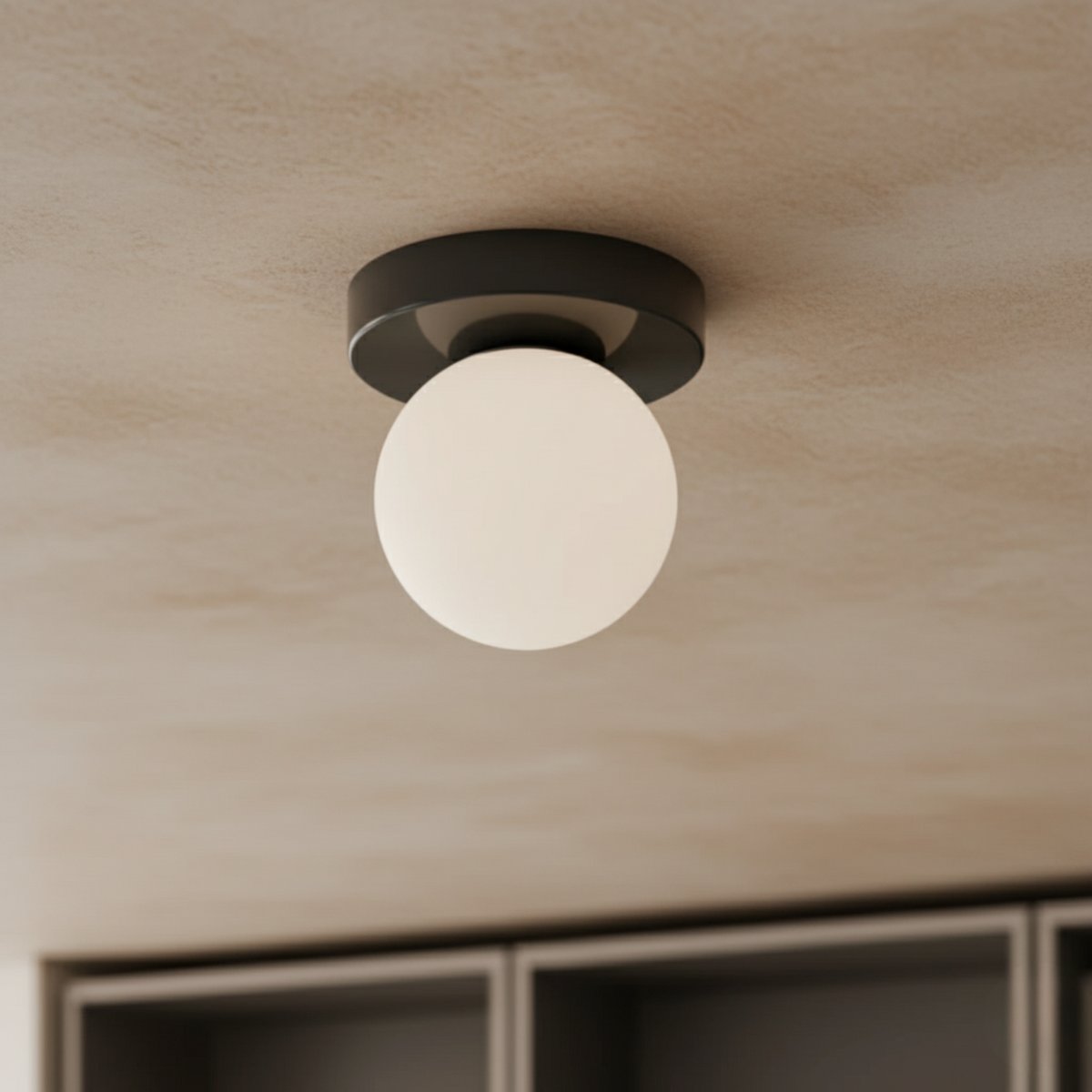 Wall & Ceiling Light Frosted Glass Globe Painted Iron