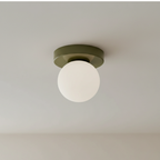 Wall & Ceiling Light Frosted Glass Globe Painted Iron
