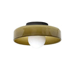 Wall & Ceiling Light Matte Glass Low-Profile