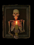 Wall Display Framed Life-Size Skeleton Torso Flickering Bulb