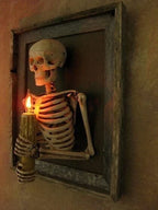 Wall Display Framed Life-Size Skeleton Torso Flickering Bulb