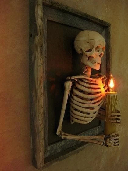 Wall Display Framed Life-Size Skeleton Torso Flickering Bulb