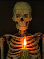 Wall Display Framed Life-Size Skeleton Torso Flickering Bulb