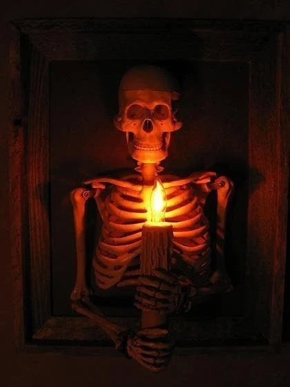 Wall Display Framed Life-Size Skeleton Torso Flickering Bulb