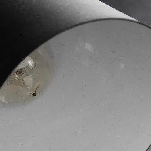 Wall Lamp Hardwired Metal Minimalist
