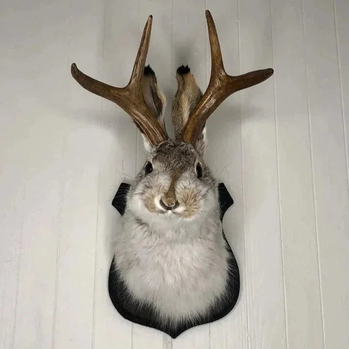 Wall Mount Jackalope Faux Fur Ready To Hang