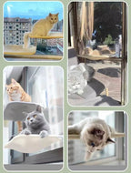 Wall-Mounted Cat Hammock Breathable Mesh Suction Cup Mount