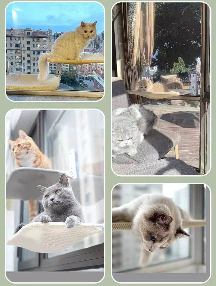 Wall-Mounted Cat Hammock Breathable Mesh Suction Cup Mount