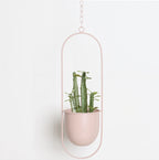 Wall Plant Holder Iron Basket Adjustable Chain