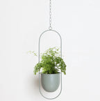Wall Plant Holder Iron Basket Adjustable Chain