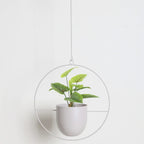 Wall Plant Holder Iron Basket Adjustable Chain