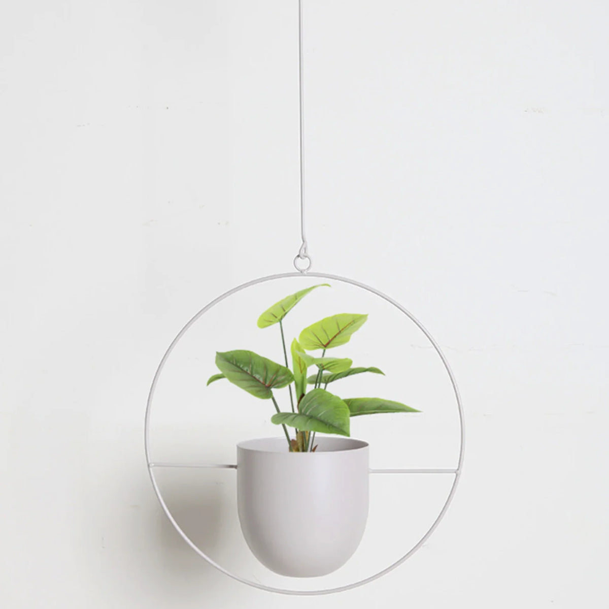 Wall Plant Holder Iron Basket Adjustable Chain
