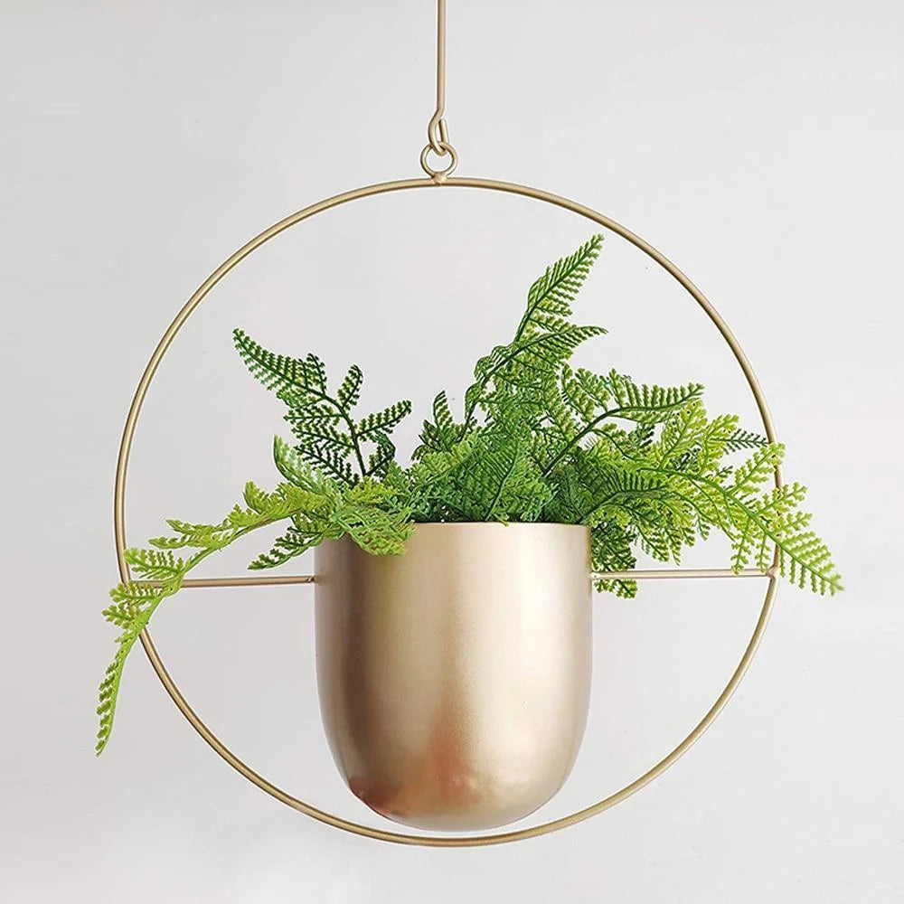 Wall Plant Holder Iron Basket Adjustable Chain