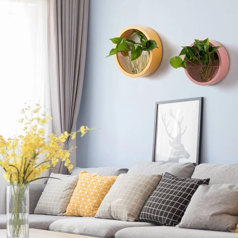 Wall Planter Circular Transparent Front Wall-Mounted