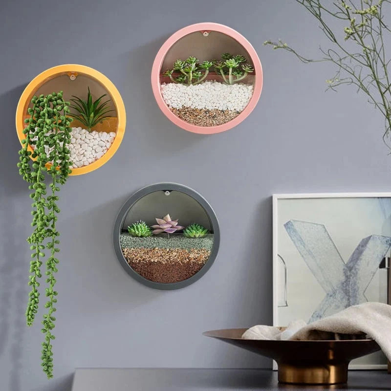 Wall Planter Circular Transparent Front Wall-Mounted