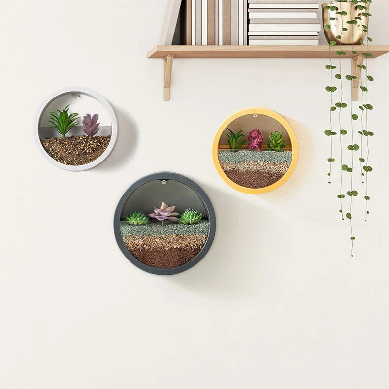 Wall Planter Circular Transparent Front Wall-Mounted