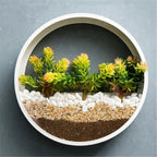 Wall Planter Circular Transparent Front Wall-Mounted