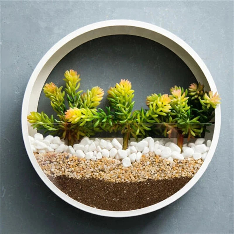 Wall Planter Circular Transparent Front Wall-Mounted