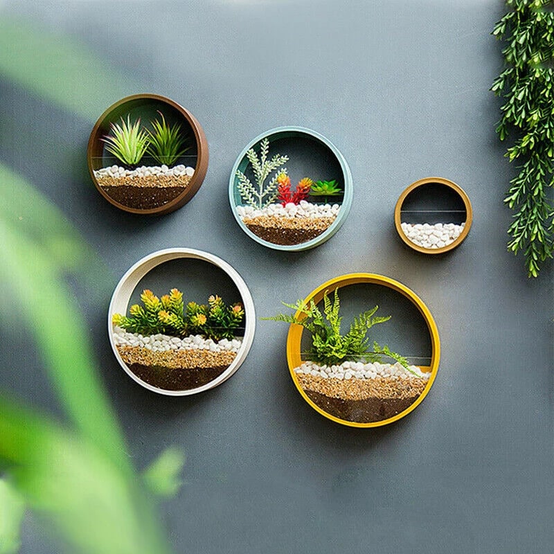 Wall Planter Circular Transparent Front Wall-Mounted