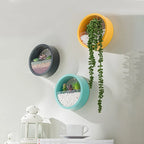 Wall Planter Circular Transparent Front Wall-Mounted