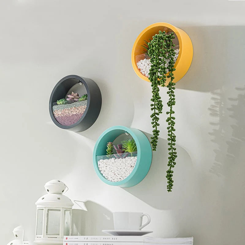 Wall Planter Circular Transparent Front Wall-Mounted