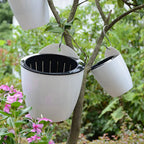 Wall Planter Self-Watering Cotton Wick No Drill
