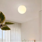 Wall Sconce Frosted Glass Globe Flush Mount