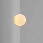 Wall Sconce Frosted Glass Globe Flush Mount