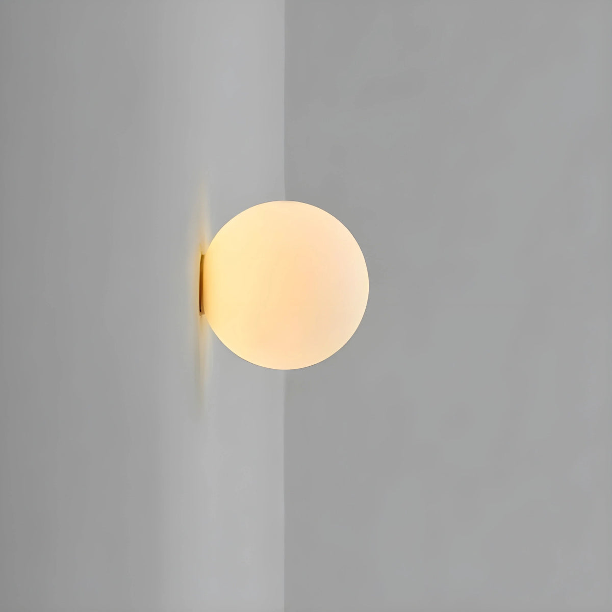 Wall Sconce Frosted Glass Globe Flush Mount