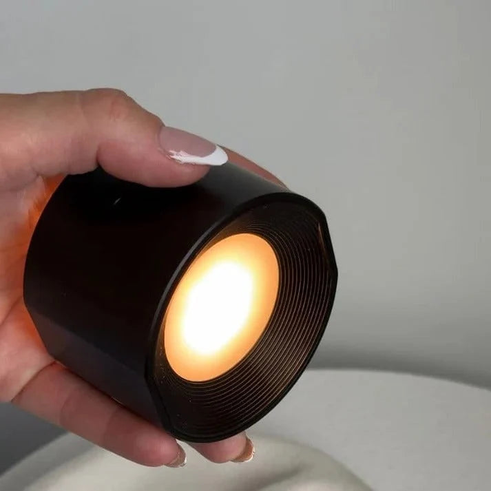 Wall Sconce Rechargeable LED 360° Rotation Remote Control