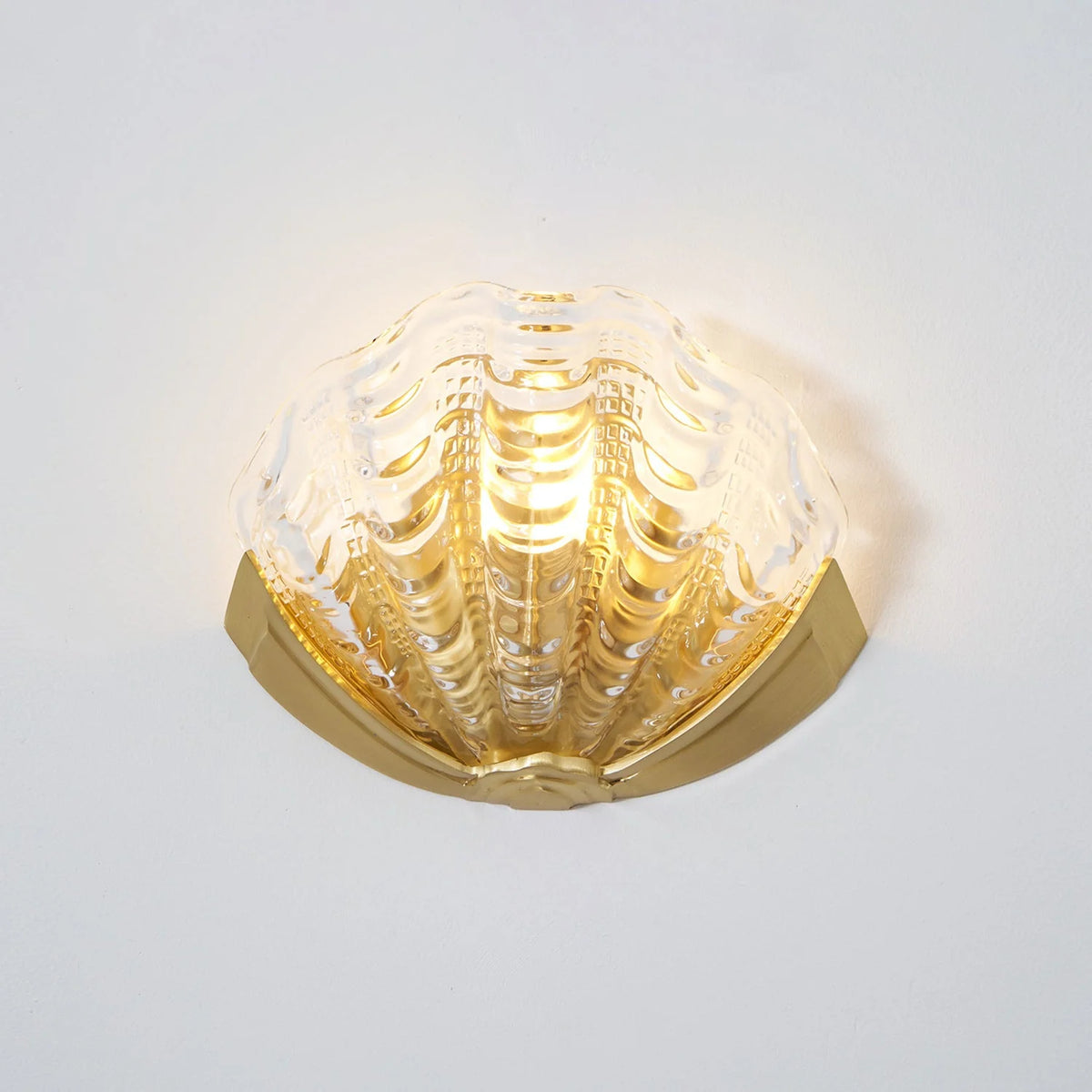 Wall Sconce Seashell Textured Glass Brass Finish