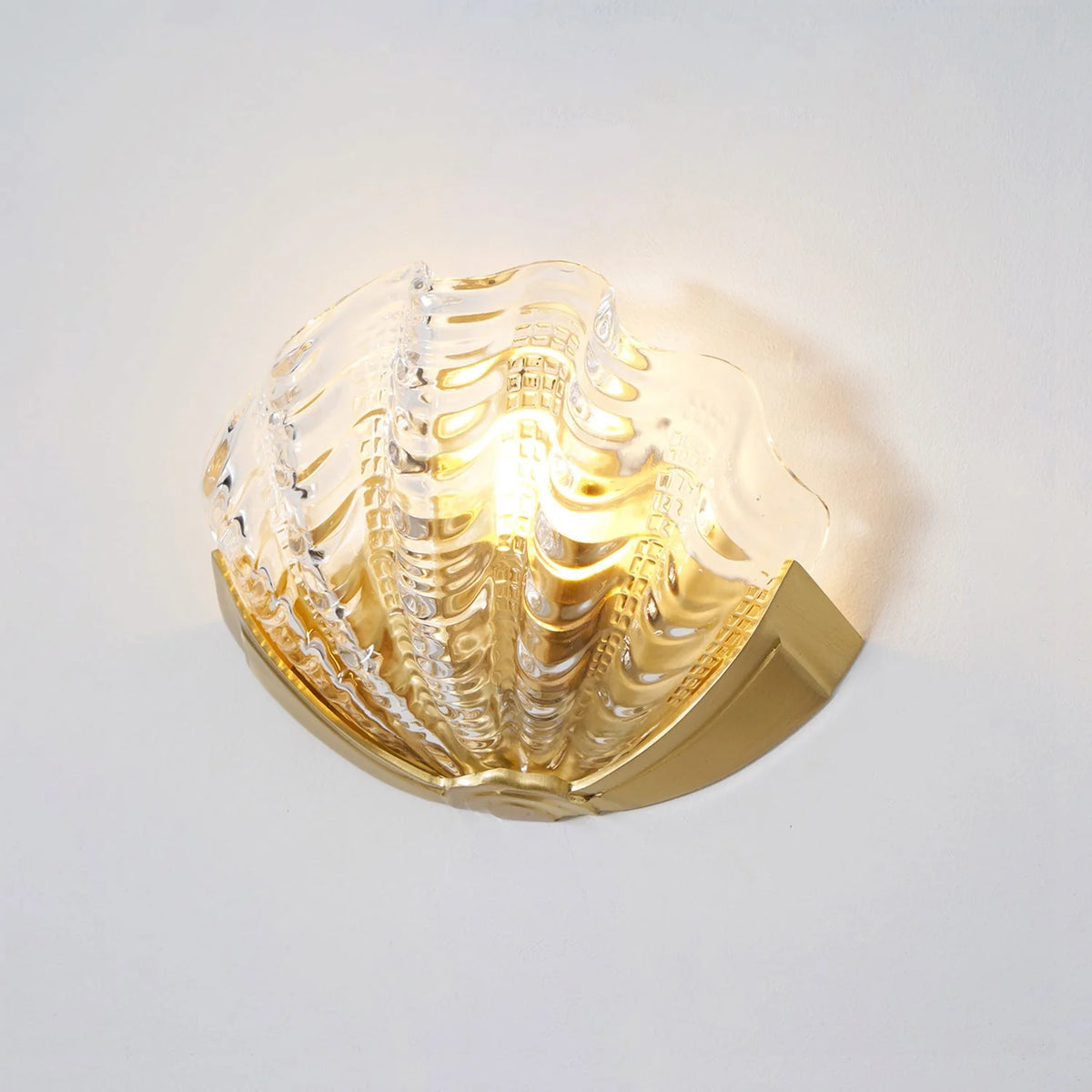 Wall Sconce Seashell Textured Glass Brass Finish