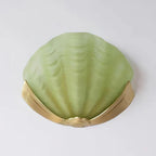 Wall Sconce Seashell Textured Glass Brass Finish