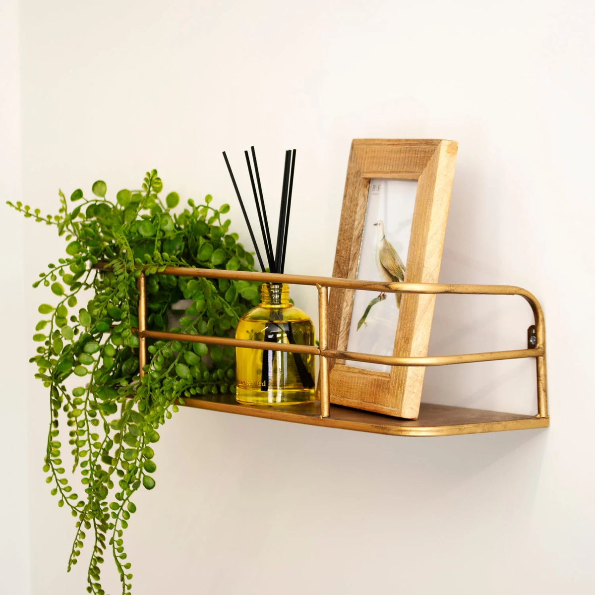Wall Shelf Industrial Wireframe Brushed Brass