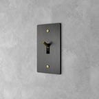 Wall Toggle Switch Solid Brass Panel Multiple Finishes