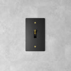 Wall Toggle Switch Solid Brass Panel Multiple Finishes
