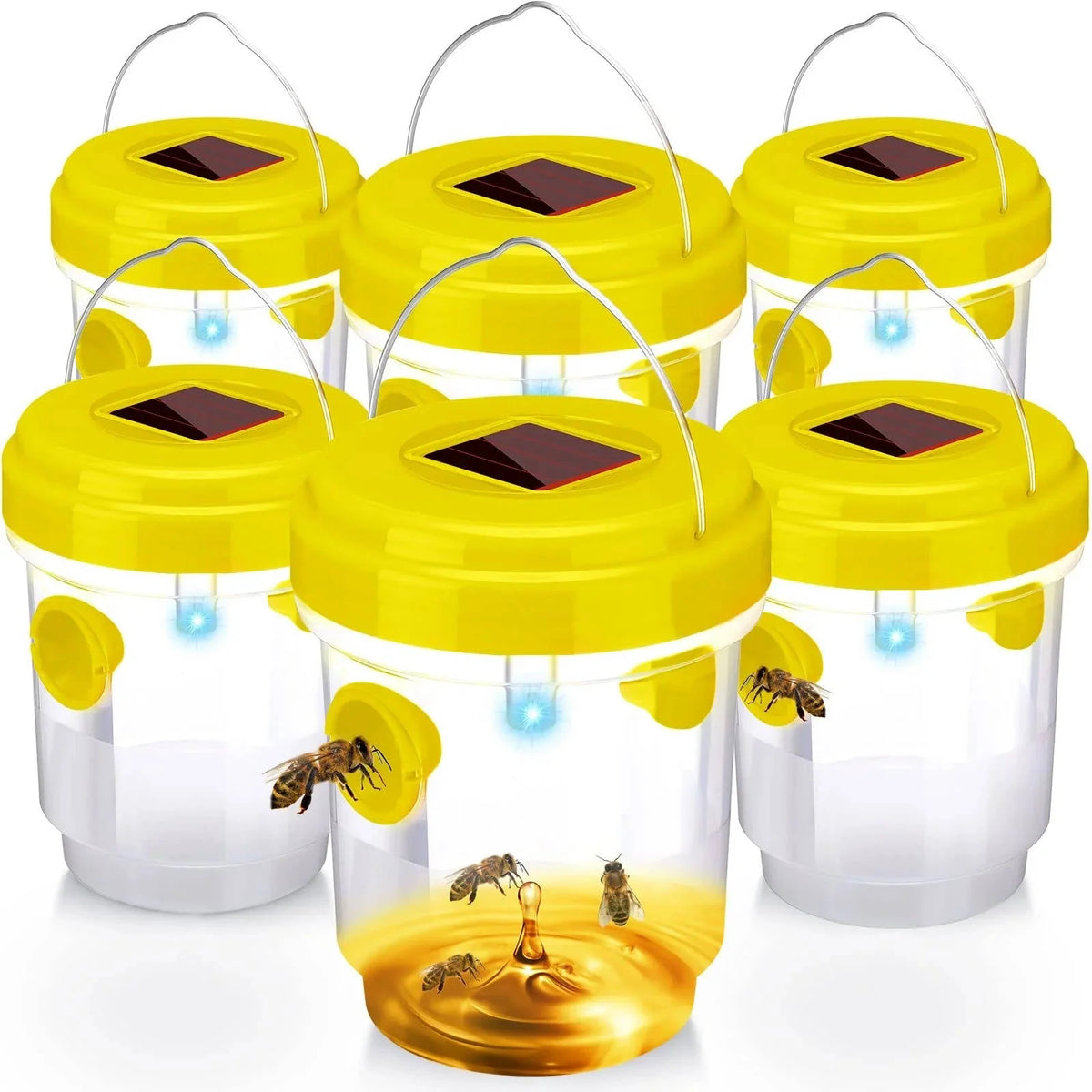 Wasp & Bee Trap Solar UV Light Dual-Entry 6-Pack