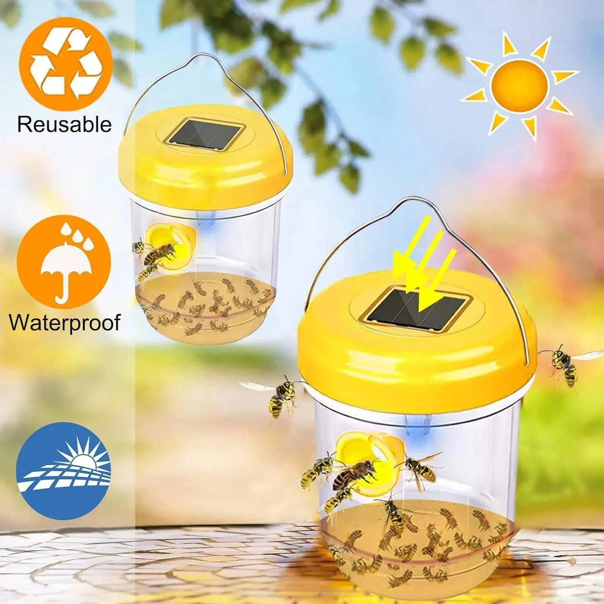 Wasp & Bee Trap Solar UV Light Dual-Entry 6-Pack
