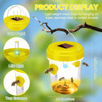 Wasp & Bee Trap Solar UV Light Dual-Entry 6-Pack