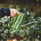 Watering Can Indoor Long Nozzle Lightweight & Ergonomic