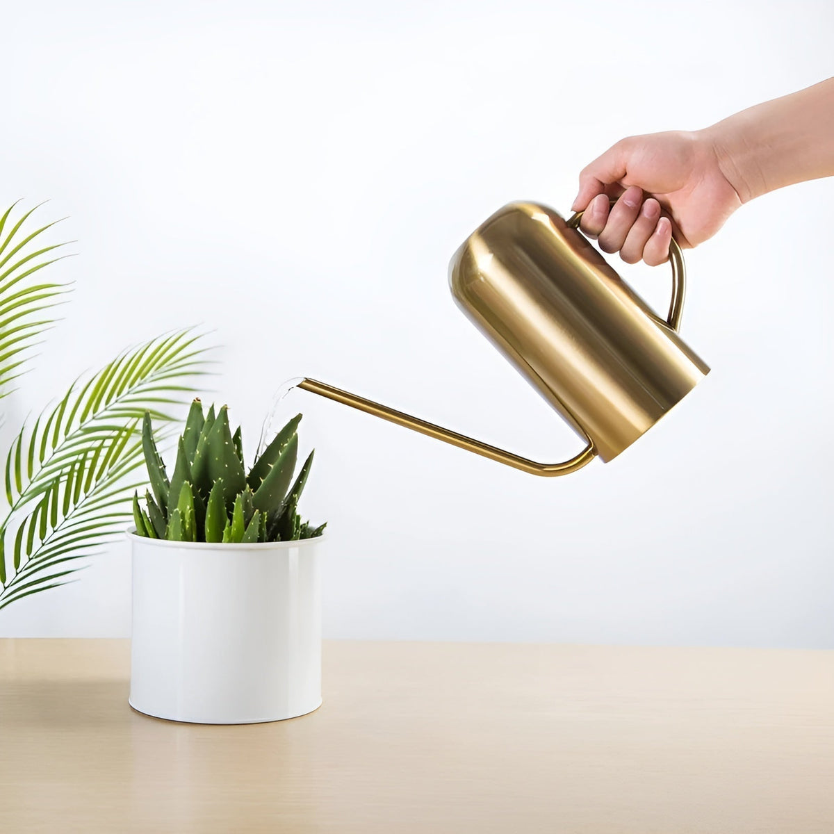 Watering Can Stainless Steel Ergonomic Spout 1.5L Capacity