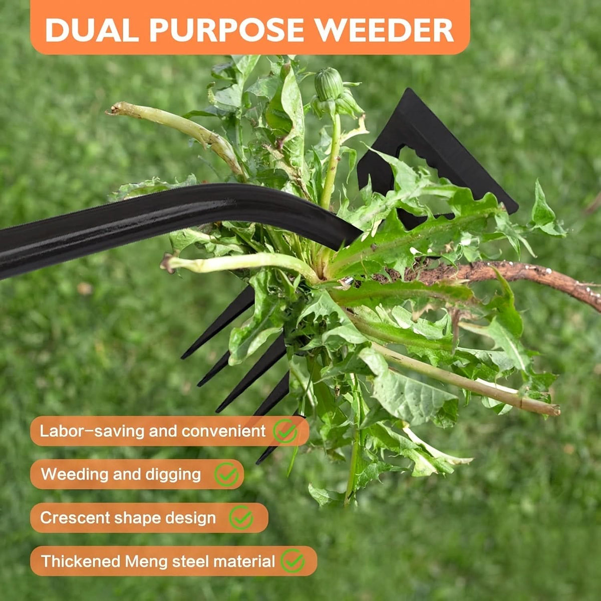 Weed Removal Tool Carbon Steel Head Ergonomic Long Handle