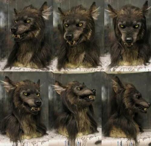 Werewolf Mask Full-Head Lightweight Latex Realistic Fur & Fangs