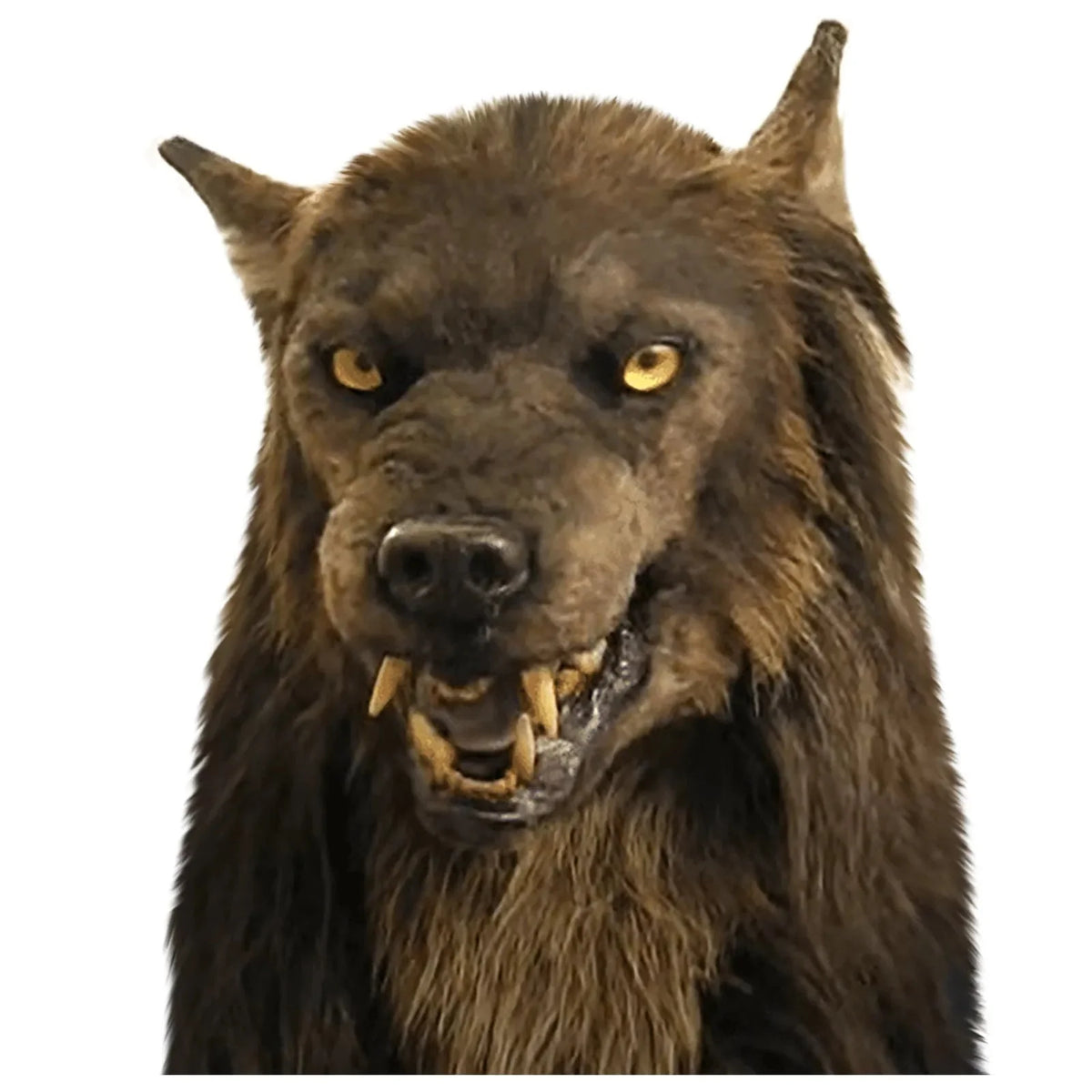 Werewolf Mask Full-Head Lightweight Latex Realistic Fur & Fangs