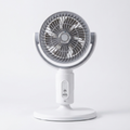 Whisper-Quiet 5-Speed Pedestal Fan (Remote & Height Adjustable)