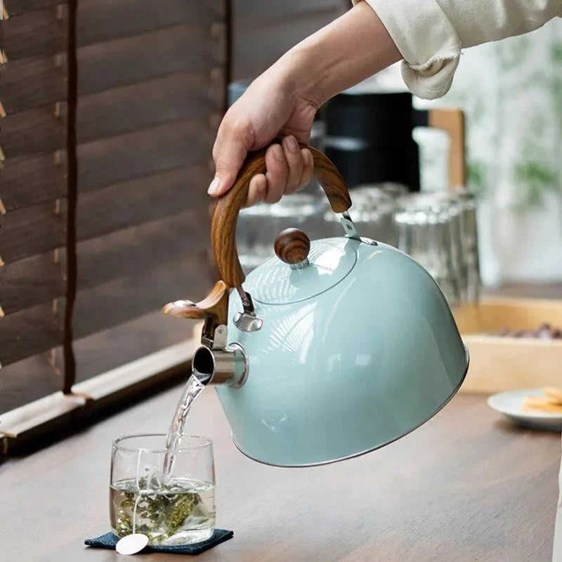 Whistling Kettle Stainless Steel Induction Compatible Cool-Touch Handle