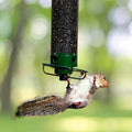 Wild Bird Feeder Weight-Activated Spinning Perch Four Feeding Ports