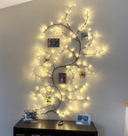 Willow Branch Lights Bendable Warm White LED 2.5 Metre